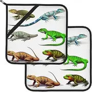 2 Pack Pot Holders for Kitchen Heat Resistant Potholders Different Types of Lizard Pot Holders Set Washable Hot Pads with Loop Non Slip Potholders for Cooking Baking BBQ Microwave 8 x 8 Inch