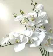 REAL TOUCH WHITE ORCHID STEM ARTIFICIAL SILK FLOWERS MOTH ORCHIDS FLOWER LATEX