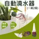 焦點攝影@自動澆水器(一組2個) 植物花卉滲水器 懶人澆花器 施肥器 滴灌器 引水盆栽 免電自動灑水器 花盆滴水器 園藝