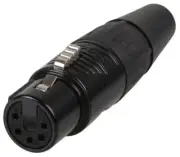 REAN - 5 Pole XLR Plug, Black, Silver Contacts