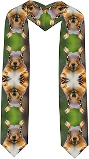[SKKNT] Squirrel Funny Animal Print Graduation Shawl Stole For Academic Commencements Honor Sash Congratulations Gift