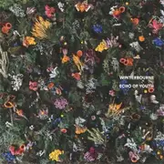 Winterbourne Echo Of Youth CD