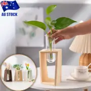 Hydroponic Plant Propagation Station With Glass Test Tube And Wooden Stand Deco
