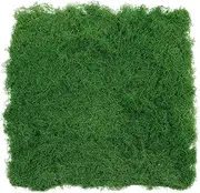 SUPVOX Artificial Moss Mat 50x50cm Green Simulation Moss Pad for Outdoor Landscaping, Micro Landscape, Window Display, and Decorative Crafts