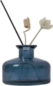 vipolish 1PC 200ml/6.7oz Empty Glass Diffuser Bottles Aromatherapy Jars Conta...