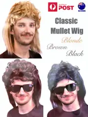 Mens Mullet Wig Straight Back Party Wigs 70s 80s Costume Cosplay Rock Adults