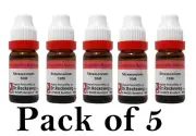 5X Dr Reckeweg Stramonium 10M CH Dilution 11ml Each