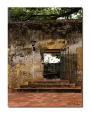 Ready2HangArt Indoor/Outdoor Wall Decor Provincial IV in ArtPlexi Wall Art by Olga Burgos