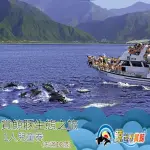 【花蓮-鯨世界】賞鯨豚生態之旅兒童券