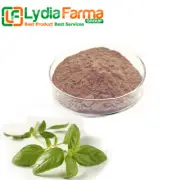 ❣️POWDER Holy Basil Sacred Basil Tulasi Tulsi Ocimum Sanctum Organic WildCrafted
