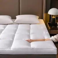 在飛比找蝦皮購物優惠-10cm Hotel soft bed mattress床墊