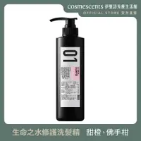 在飛比找PChome24h購物優惠-【伊聖詩官方直營】FIG 生命之水修護洗髮精480ml