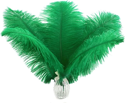 Craft Green Ostrich Feathers - 24Pcs 8-10Inch Feathers for Vase, Wedding Party C