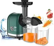 Vegetable Juicer for Celery Wheatgrass Spinach Ginger, Fruit Juicer Machines Slow Masticating Cold Press Juice Extractor Pulp Separated, Quiet Motor, Dishwasher Safe, Easy To Clean, BPA Free