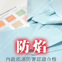 在飛比找蝦皮購物優惠-溫飾效應 防焰 醫院 隔簾 隔間簾 美容 診所 養生 可通過