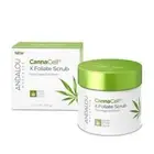 Andalou Naturals CannaCell X.Foliate Scrub, Gommage, Hemp Stem Cells, 1.7 Ounces