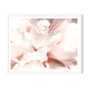 Petal Highlight Framed Printed Wall Art - White