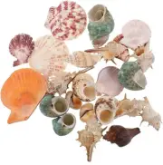 200g Aquarium Conch Shells Fake Sea Shells Conch Mixed Beach Seashells Fish Tank