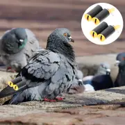 2 Pcs Survival Whistle Pigeon Training Accessory Referee Whistle Pet Bird Flute