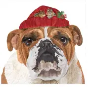 Paperproducts Design Reggie Bulldog Beverage Napkin, 5" x 5", Pkg of 20