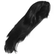 2X(Black Stylish Women Long Straight Wigs Dress Cosplay Costume Wig O1O2)