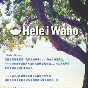 日本潛水品牌 HeleiWaho 20吋 衝浪褲 沙灘褲 海灘褲 衝浪 潛水 休閒褲 短褲 快乾褲 潛水褲 現貨