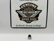 Harley-Davidson 7594 Lock Nut 5/16”-18 – nylon cap, luggage Rack – FLT