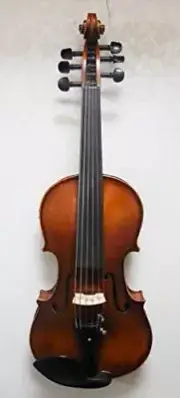 6 string 4/4 electric violin + full size Acoustic violin ,good sound