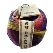 Noro Tabi Multi Colour Shizuoko #04 - 65% Wool - 150g Balls 375m $40.00