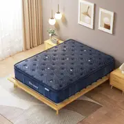 Dreamz 26CM Medium Firm High Density Foam Mattress Blue Double