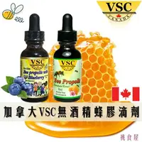 在飛比找樂天市場購物網優惠-【加拿大進口】VSC 蜂膠液 滴液 兒童蜂膠 原味/藍莓風味