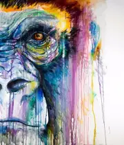 Gorilla Face Abstract Art Animal Nature quality Canvas Print Home Decor Wall