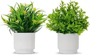 Coferset 2 Pack Small Potted Artificial Plants with Flowers Realistic Fake Greenery for Indoor Home,Office,Bathroom Farmhouse Coffee Table Decor(Green)