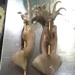 ［中秋節必備］阿根廷新鮮冷凍魷魚串批發