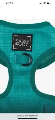 Sassy Woof Dog Harness Green XXS Adjustable
