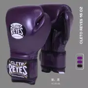 Clepo Reyes Boxing Glove 16 Oz Purple