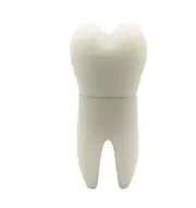 2.0 16gb 32gb 64gb White Tooth Dentist Dental Molar USB Flash Thumb Drive