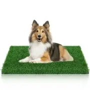 Dogs Grass Pee Pad for Puppy Potty Training, Pet Friendly Artificial Grass Tu...