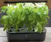 Hydroponics Growing System, Indoor Herb Garden Kit Indoor Gardening Grow System