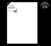 12 pcs Artist Canvas Blank Canvas 12"x16" 30 x 40cm Wholesale Bulk Craft Lots