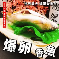 在飛比找蝦皮購物優惠-【潮鮮世代】世界 最大爆蛋大香魚／母香魚／爆蛋香魚／爆蛋母香