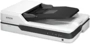 Epson DS-1630 Flatbed Color Document Scanner 25ppm with TWAIN & ISIS Drivers,