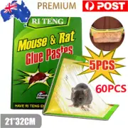 5-60PCS Mouse Traps Rat Mice Mouse Trap Board Snare Catcher Board Pad Board AU