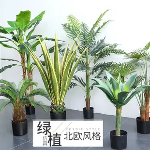 仿真芭蕉樹客廳落地擺件盆景 室內大型北歐植物紅鐵樹假綠植盆栽