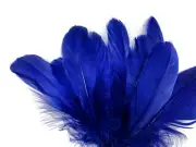 1/4 Lb - Royal Blue Goose Nagoire Wholesale Feathers Bulk Costume Wing Halloween