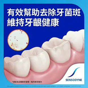 *舒酸定 長效抗敏牙膏160g 牙齦護理 新舊包裝隨機出貨 口腔清潔【金興發】