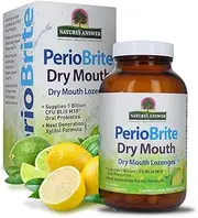 Nature's Answer Periobrite Dry Mouth Lozenges, 100 Count
