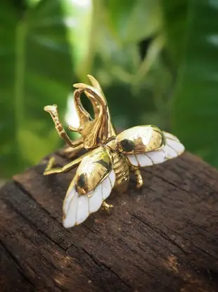 Flying Rhino Beetle Ring in Brass With White Enamel Wings. Adjustable Size.