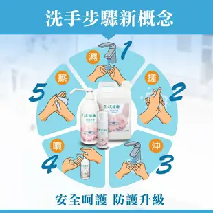 【次綠康】 精緻水漾乾洗手液60mlx5