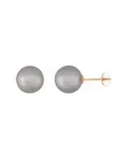 Splendid Pearls 14K 8-8.5mm Akoya Pearl Earrings